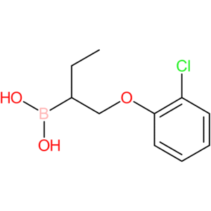 1-(2-chlorophenoxy)butan-2-ylboronic acid