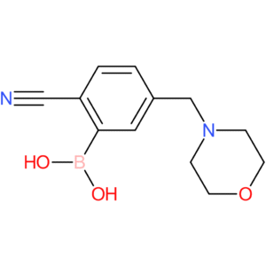 2-cyano-5-(morpholinomethyl)phenylboronic acid