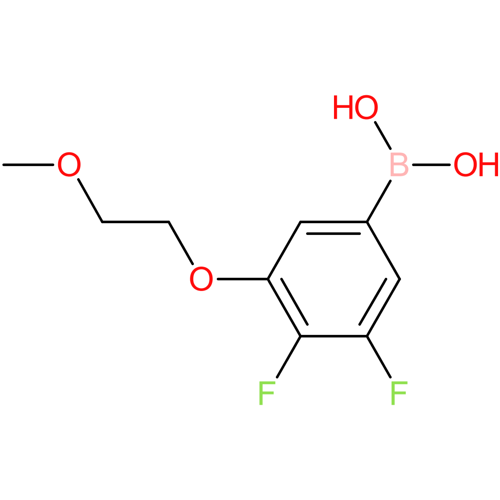 focus fs008986