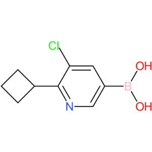 5-chloro-6-cyclobutylpyridine-3-boronic acid