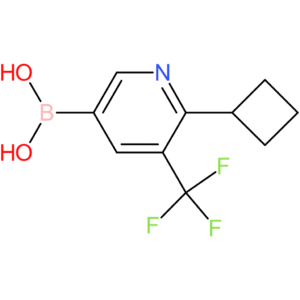 6-cyclobutyl-5-trifluoromethylpyridine-3-boronic acid