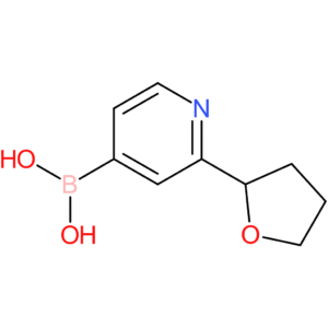 2-(2-tetrahydrofuranyl)pyridine-4-boronic acid