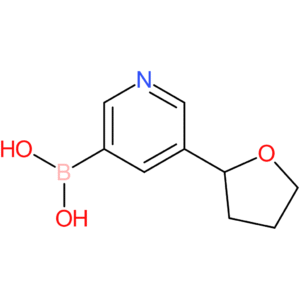 5-(2-tetrahydrofuranyl)pyridine-3-boronic acid