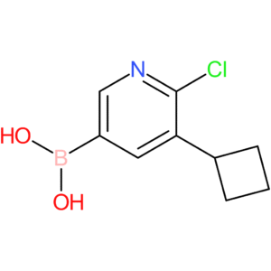 6-chloro-5-(cyclobutyl)pyridine-3-boronic acid