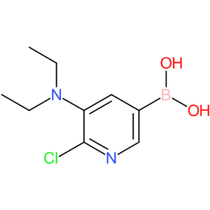 6-chloro-5-diethylaminopyridine-3-boronic acid