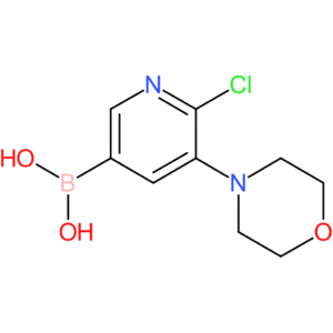 6-chloro-5-(morpholino)pyridine-3-boronic acid