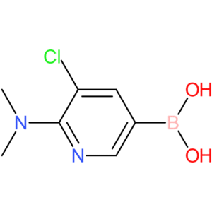 5-chloro-6-(dimethylamino)pyridin-3-ylboronic acid