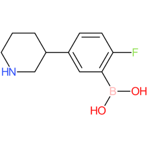 2-fluoro-5-(piperidin-3-yl)phenylboronic acid