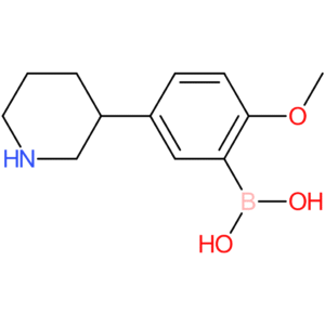 2-methoxy-5-(piperidin-3-yl)phenylboronic acid