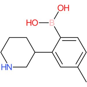 2-(piperidin-3-yl)-4-methylphenylboronic acid