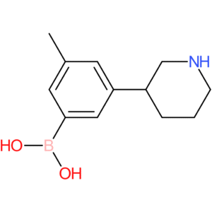 3-(piperidin-3-yl)-5-methylphenylboronic acid