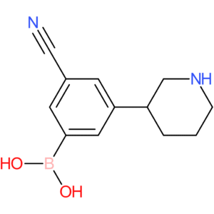 3-(piperidin-3-yl)-5-cyanophenylboronic acid