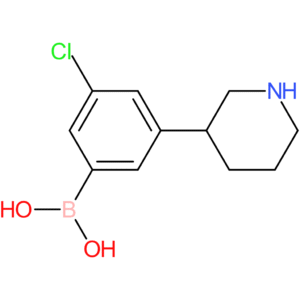 3-(piperidin-3-yl)-5-chlorophenylboronic acid