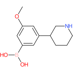 3-(piperidin-3-yl)-5-methoxyphenylboronic acid