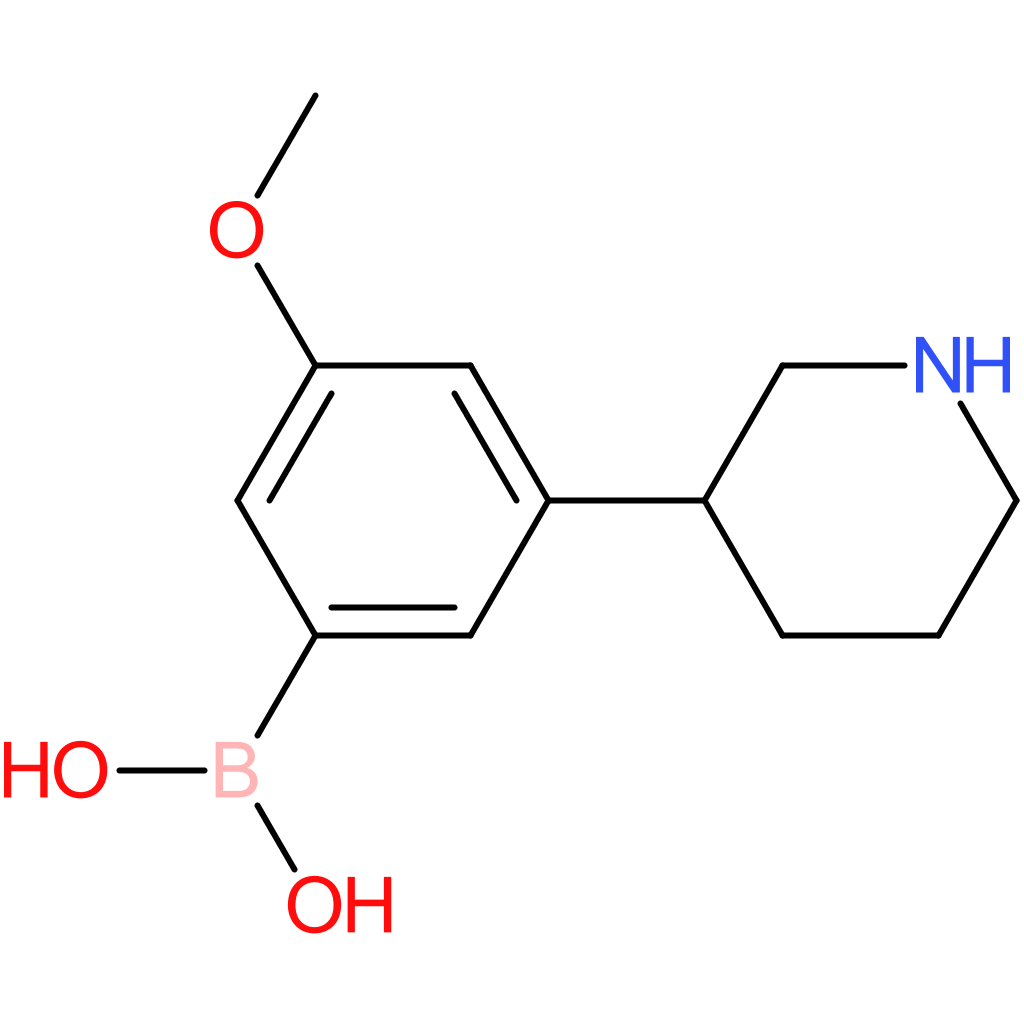 3-(piperidin-3-yl)-5-methoxyphenylboronic acid