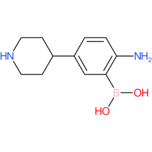 5-(piperidin-4-yl)-2-aminophenylboronic acid