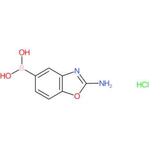 (2-aminobenzo[d]oxazol-5-yl)boronic acid hydrochloride