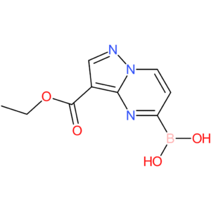 [3-(ethoxycarbonyl)pyrazolo[1,5-a]pyrimidin-5-yl]boronic acid