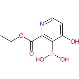 [2-(ethoxycarbonyl)-4-hydroxypyridin-3-yl]boronic acid