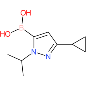 [3-cyclopropyl-1-(propan-2-yl)-1h-pyrazol-5-yl]boronic acid