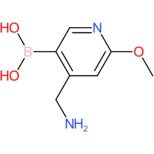[4-(aminomethyl)-6-methoxypyridin-3-yl]boronic acid