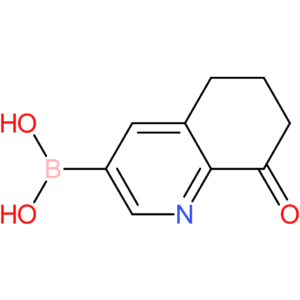 (8-oxo-5,6,7,8-tetrahydroquinolin-3-yl)boronic acid
