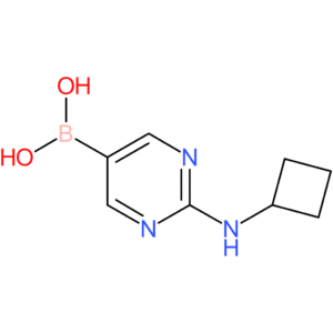 [2-(cyclobutylamino)pyrimidin-5-yl]boronic acid
