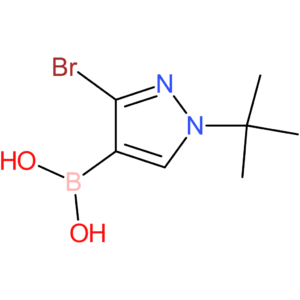 3-bromo-1-tert-butylpyrazolE-4-boronic acid