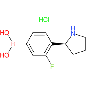 (3-fluoro-4-[(2s)-pyrrolidin-2-yl]phenyl)boronic acid hydrochloride