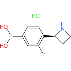 (4-[(2s)-azetidin-2-yl]-3-fluorophenyl)boronic acid hydrochloride