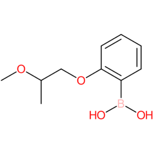 [2-(2-methoxypropoxy)phenyl]boronic acid