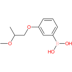 [3-(2-methoxypropoxy)phenyl]boronic acid