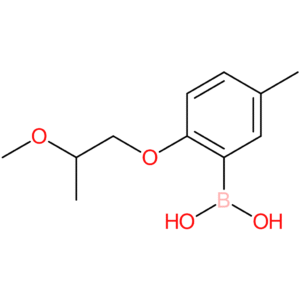[2-(2-methoxypropoxy)-5-methylphenyl]boronic acid