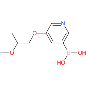 [5-(2-methoxypropoxy)pyridin-3-yl]boronic acid