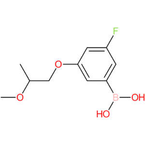 [3-fluoro-5-(2-methoxypropoxy)phenyl]boronic acid