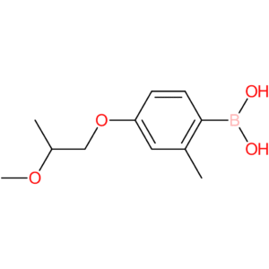 [4-(2-methoxypropoxy)-2-methylphenyl]boronic acid