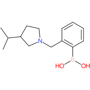(2-([3-(propan-2-yl)pyrrolidin-1-yl]methyl)phenyl)boronic acid
