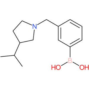 (3-([3-(propan-2-yl)pyrrolidin-1-yl]methyl)phenyl)boronic acid