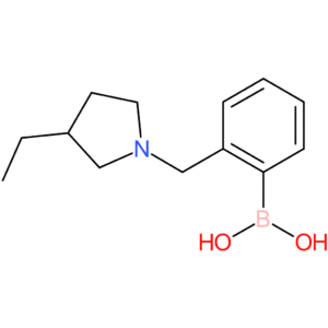 (2-[(3-ethylpyrrolidin-1-yl)methyl]phenyl)boronic acid