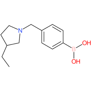 (4-[(3-ethylpyrrolidin-1-yl)methyl]phenyl)boronic acid