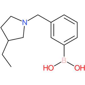 (3-[(3-ethylpyrrolidin-1-yl)methyl]phenyl)boronic acid