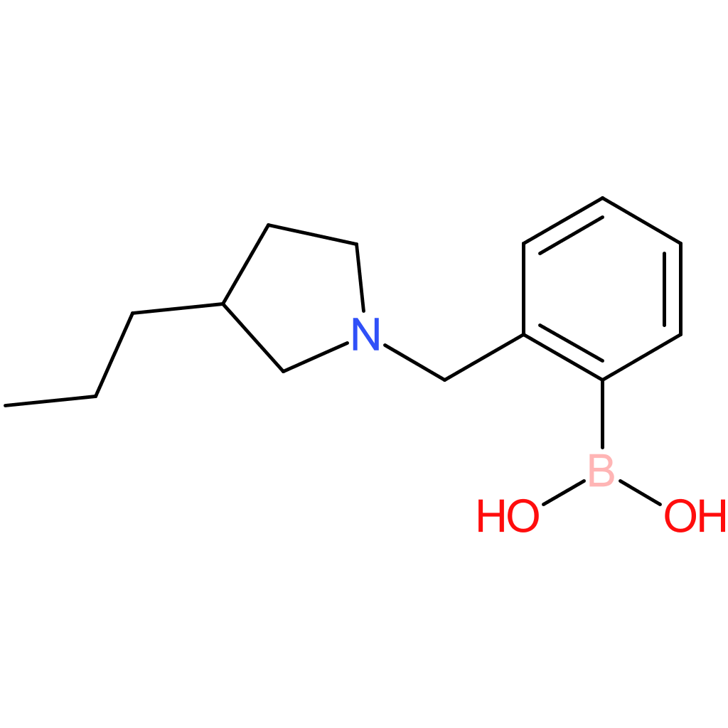 (2-[(3-propylpyrrolidin-1-yl)methyl]phenyl)boronic acid