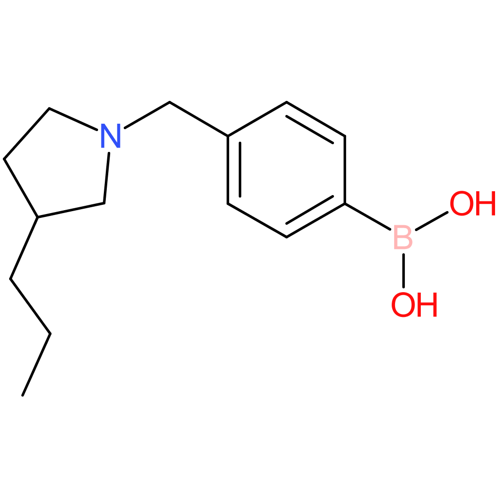 (4-[(3-propylpyrrolidin-1-yl)methyl]phenyl)boronic acid