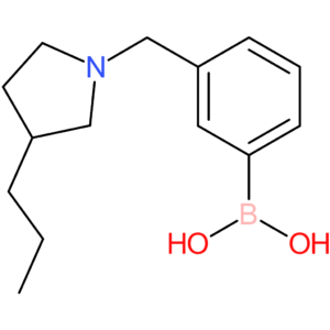 (3-[(3-propylpyrrolidin-1-yl)methyl]phenyl)boronic acid
