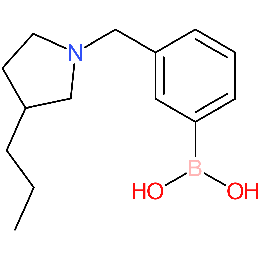 (3-[(3-propylpyrrolidin-1-yl)methyl]phenyl)boronic acid