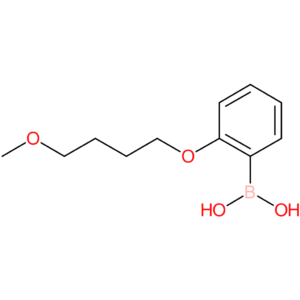 [2-(4-methoxybutoxy)phenyl]boronic acid
