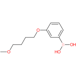 [3-(4-methoxybutoxy)phenyl]boronic acid