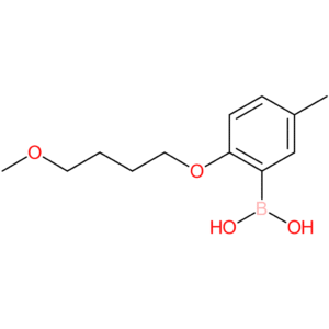 [2-(4-methoxybutoxy)-5-methylphenyl]boronic acid