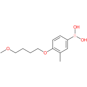 [4-(4-methoxybutoxy)-3-methylphenyl]boronic acid