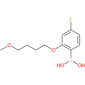 [4-fluoro-2-(4-methoxybutoxy)phenyl]boronic acid